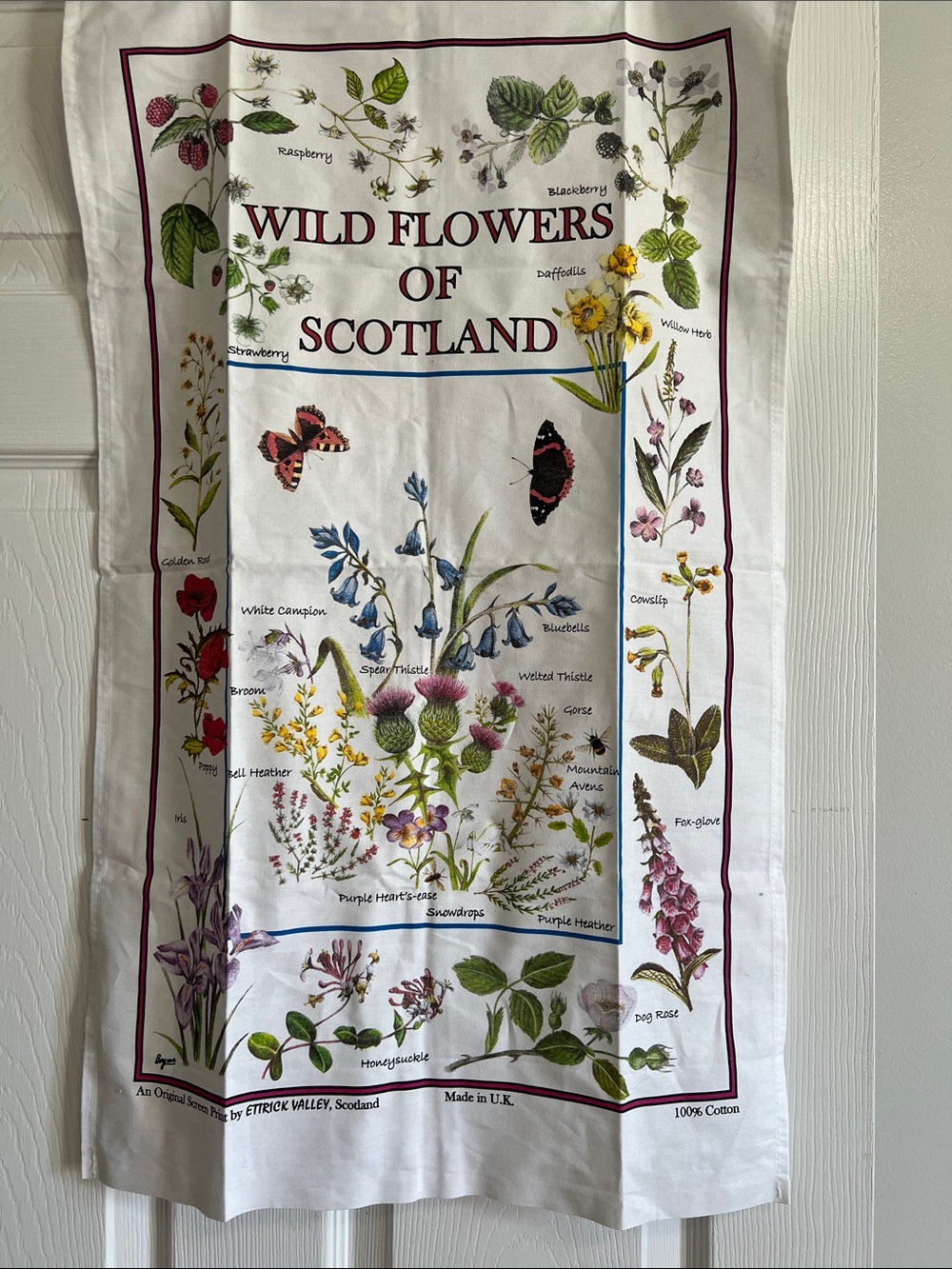 Wild Flowers of Scotland Cotton Tea Towel - Botanical Print
